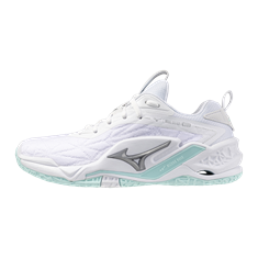 Mizuno wave stealth neo 2