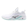 Mizuno wave stealth neo 2