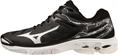 Mizuno wave voltage(u)