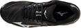 Mizuno wave voltage(u)