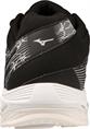 Mizuno wave voltage(u)