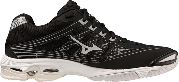Mizuno wave voltage(u)
