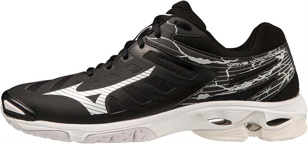 Mizuno wave voltage(u)