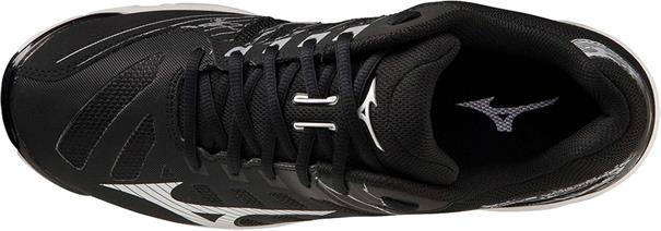 Mizuno wave voltage(u)