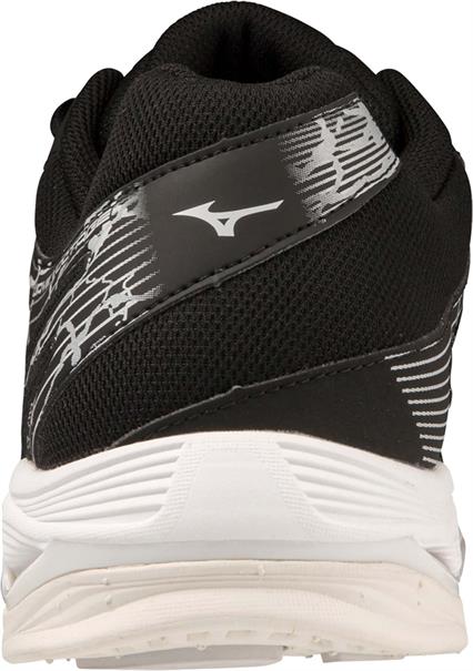 Mizuno wave voltage(u)
