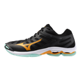 Mizuno wave voltage 2