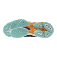 Mizuno wave voltage 2