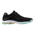 Mizuno wave voltage 2