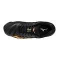 Mizuno wave voltage 2
