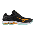 Mizuno wave voltage 2