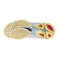 Mizuno wave voltage 2