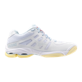 Mizuno wave voltage 2