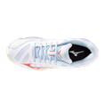 Mizuno wave voltage 2