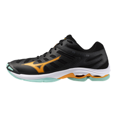 Mizuno wave voltage 2