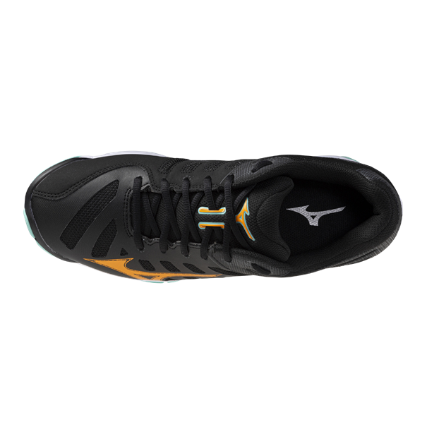 Mizuno wave voltage 2