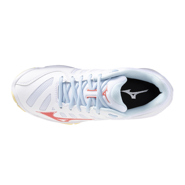 Mizuno wave voltage 2