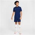 Nike academy men's dri-fit short-sl
