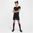 Nike Academy25 DriFIT short voor kinderen