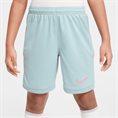 Nike Academy25 DriFIT short voor kinderen