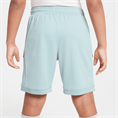 Nike Academy25 DriFIT short voor kinderen