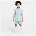 Nike Academy25 DriFIT short voor kinderen