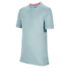 Nike Academy25 DriFIT top voor kinderen