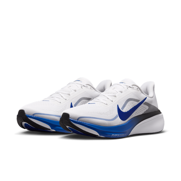Nike air zoom pegasus 42