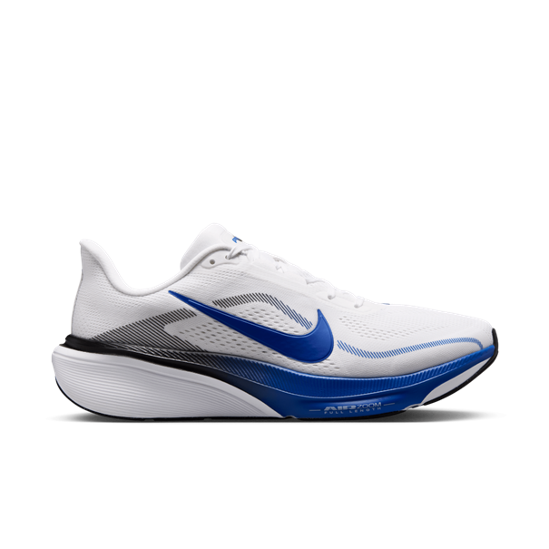 Nike air zoom pegasus 42