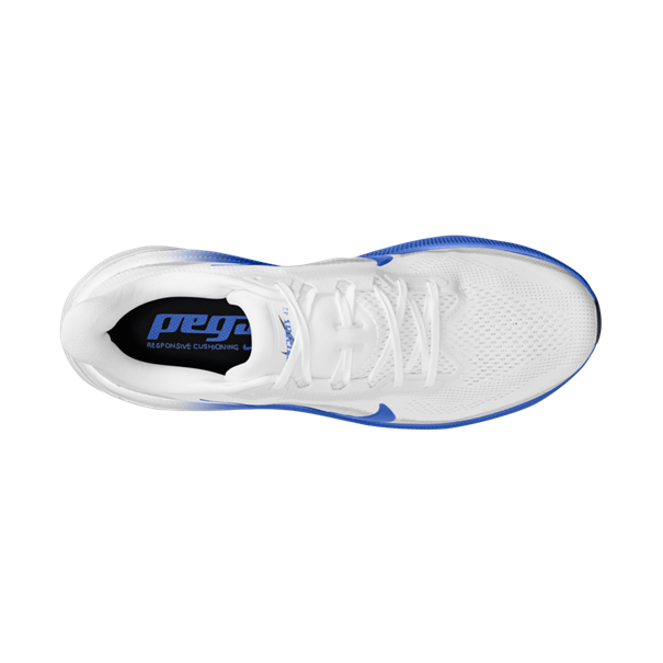 Nike air zoom pegasus 42