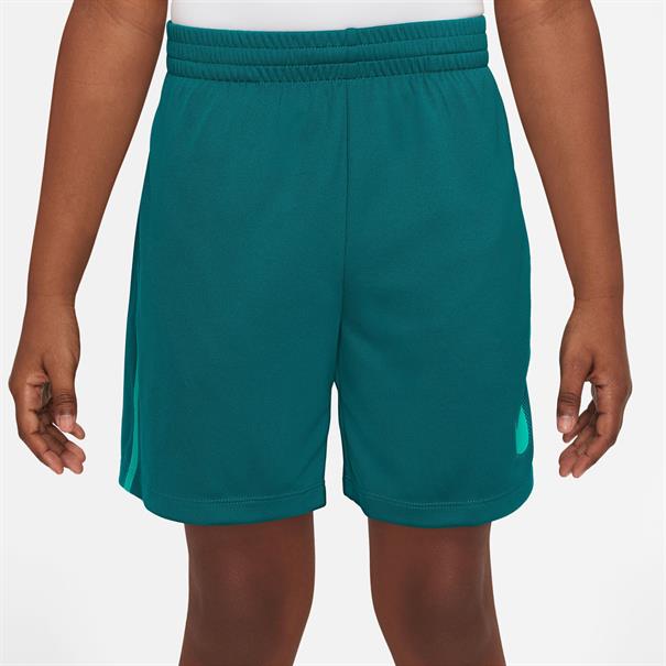 Nike dri-fit multi+ big kids' (boys