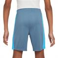 Nike DriFIT Academy DriFIT Global Football Herenshort