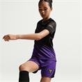 Nike fcb y nk df short stad aw
