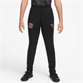 Nike fcb y nk df strk pant kpz aw
