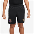 Nike fcb y nk df strk short kz aw