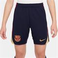 Nike fcb y nk df strk short kz