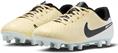 Nike jr legend 10 academy fg/mg
