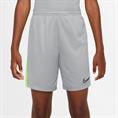 Nike k nk df acd23 short k br