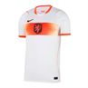 Nike knvb m nk df jsy ss stad aw