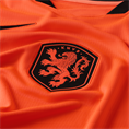 Nike knvb m nk df jsy ss stad hm