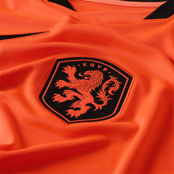 Nike knvb m nk df jsy ss stad hm