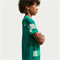 Nike kylian mbappe academy big kids' dri
