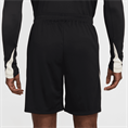 Nike lfc m nk df strk short kz se