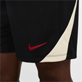 Nike lfc m nk df strk short kz se