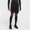 Nike lfc m nk df strk short kz se