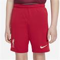 Nike liverpool fc 2021/22 stadium home b