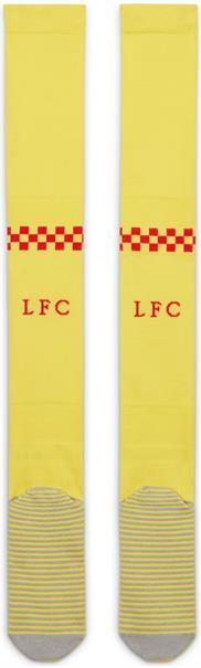 Nike liverpool fc 2021/22 stadium third