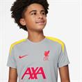 Nike Liverpool FC Strike Derde DriFIT knit voetbaltop