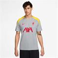 Nike Liverpool FC Strike Derde DriFIT knit voetbaltop