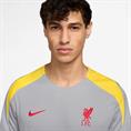 Nike Liverpool FC Strike Derde DriFIT knit voetbaltop
