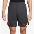 Nike Liverpool FC Strike Derde Short